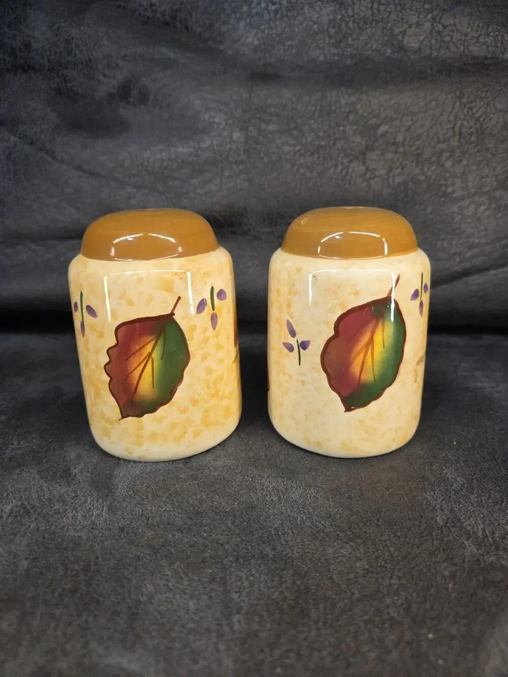 Asia Master Group Fall Harvest Leaves Ceramic Salt & Pepper Shakers Set Vintage